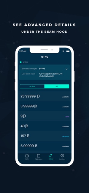 Beam Privacy Wallet(圖5)-速報App