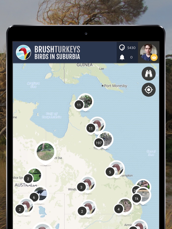 BrushTurkeys  SPOTTERON