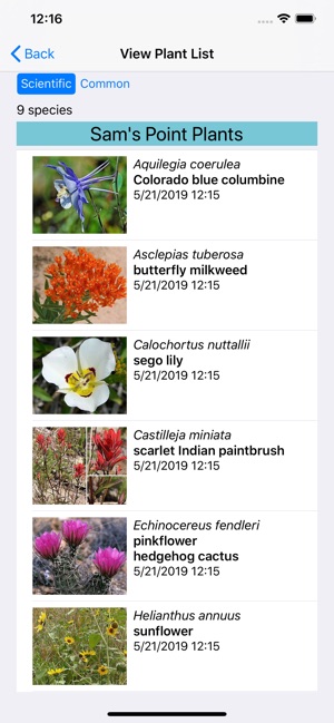 Arizona Wildflowers(圖7)-速報App