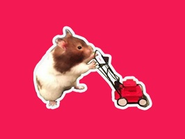 Hamsters and his little fuzzy friends, mouse and guinea pig fill this jam packed sticker pack with delightful human activities