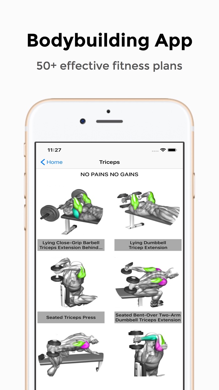 Gym Fitness  Workout Offline