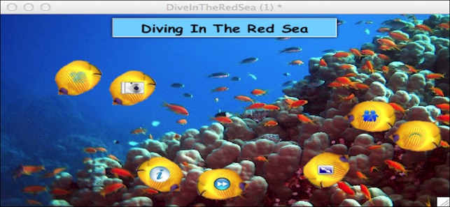 Diving In The Red Sea