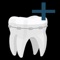 Dental Photos , can help customers take pictures of teeth to make tooth molds, can take pictures from various angles, storage for dentists