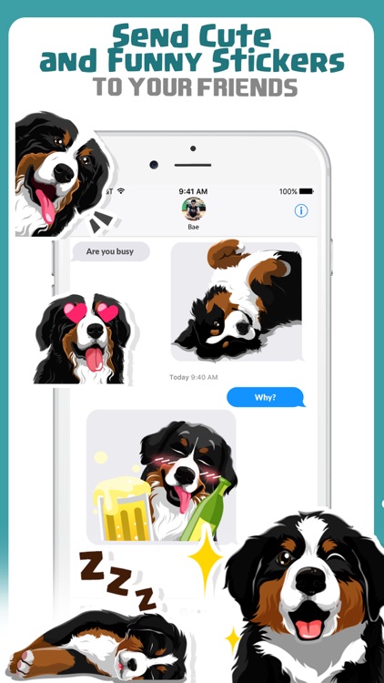 Bernese Mountain Dog Emoji screenshot-3