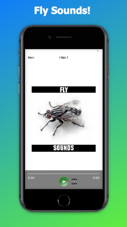 Fly Sounds!