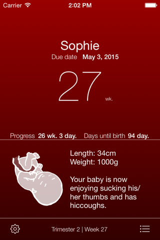 Pregnancy App - náhled