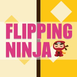 Flipping Ninja!