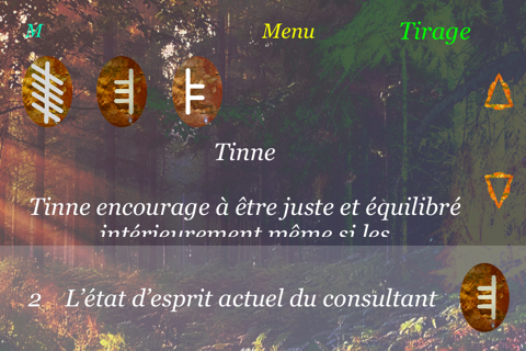 Ogham Oracle screenshot 2