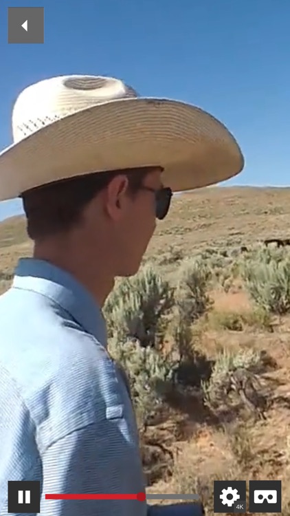 BEEF360 screenshot-3