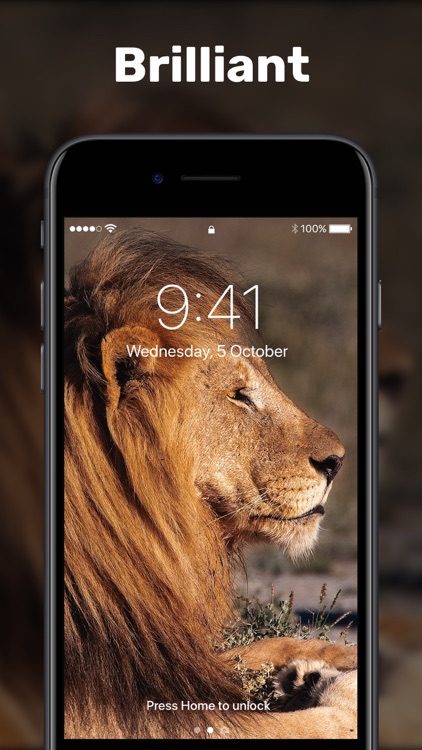 Live Wallpapers & Video Maker