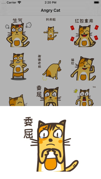 AngryCat2