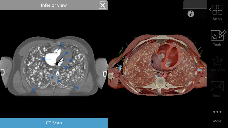 Physiology & Pathology screenshot-8
