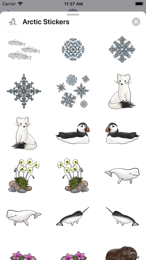 Arctic Stickers(圖7)-速報App