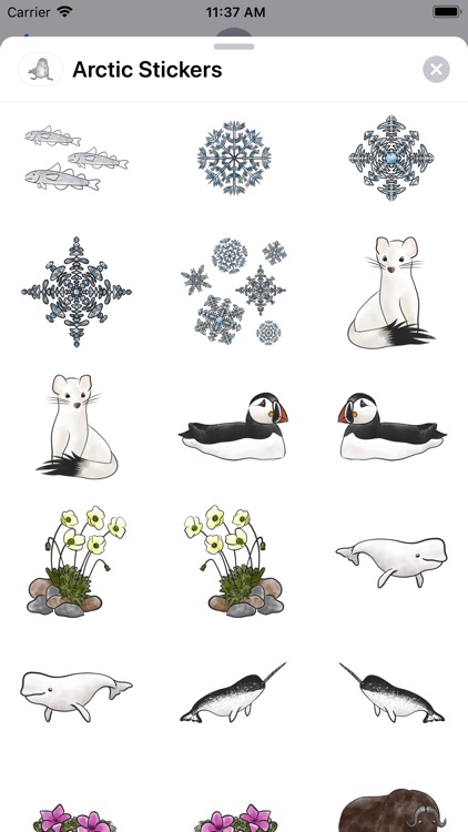 Arctic Stickers screenshot-6