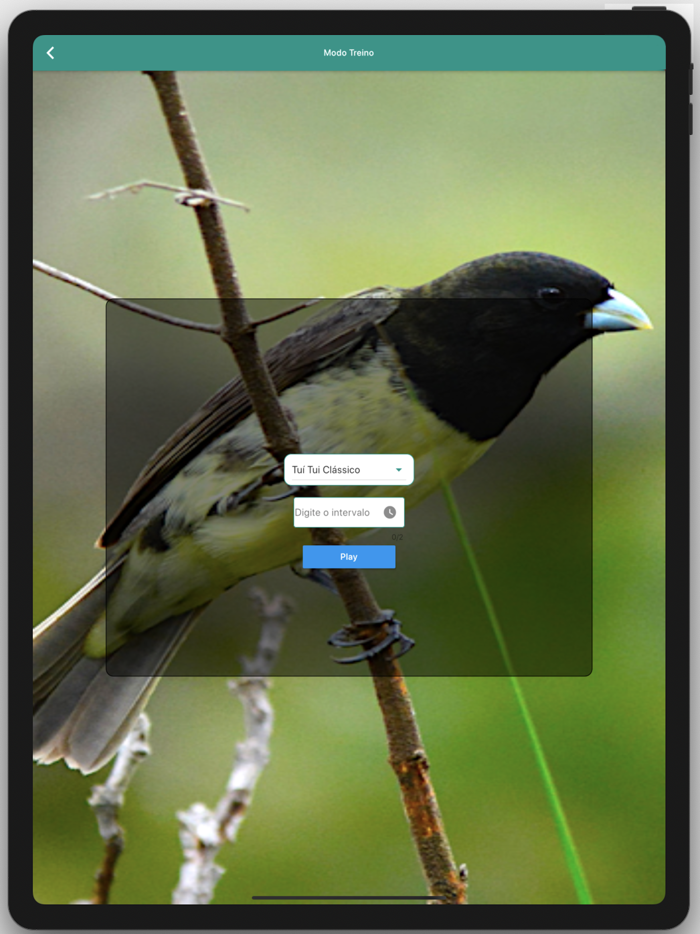 Coleiro Fibra Campeão