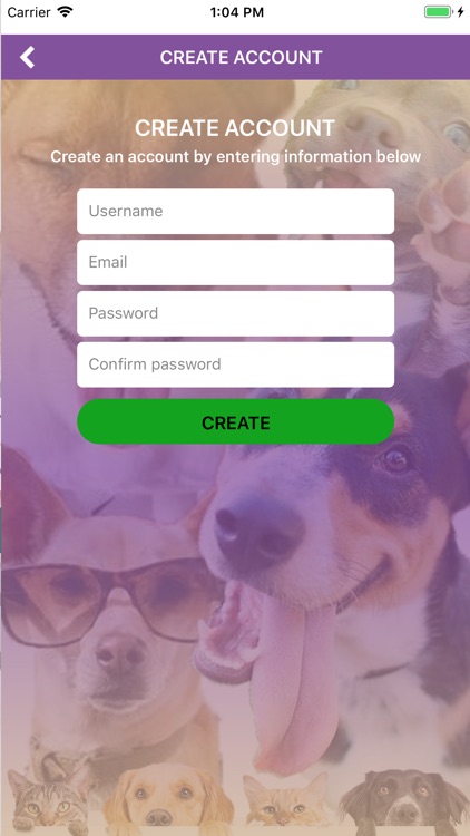 Sydney's Pet Resort and Spa