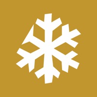 雪花调研 pour PC