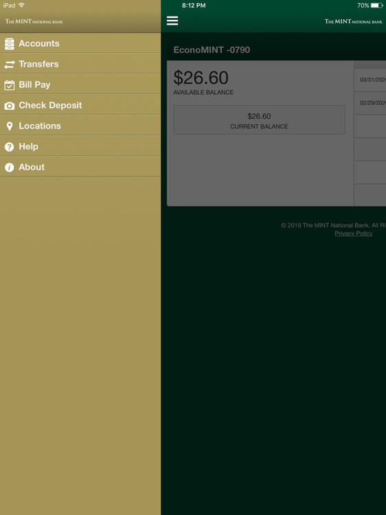 MobileMINT for iPad