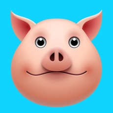 Activities of Cheapshot