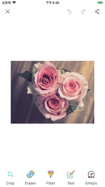 Anniversary greeting card