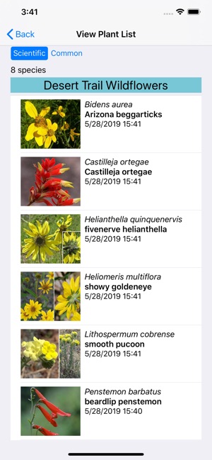 Northern Mexico Wildflowers(圖7)-速報App