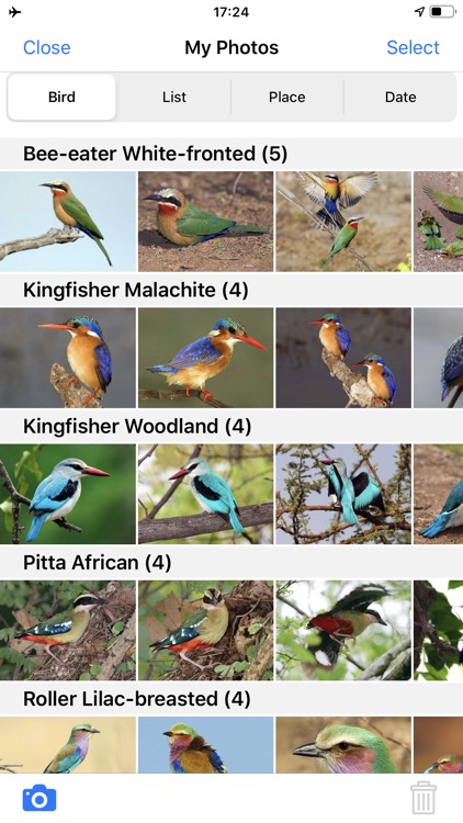 Roberts Bird Guide 2 screenshot-9