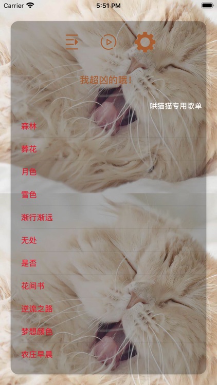 皇金钞级喵