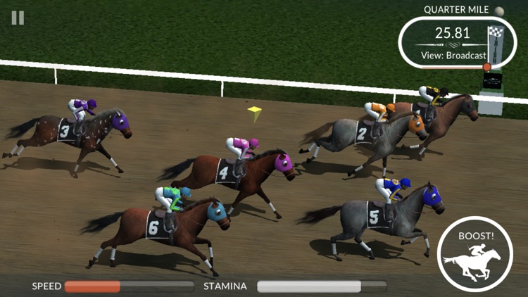 Photo Finish Horse Racing screenshot-7