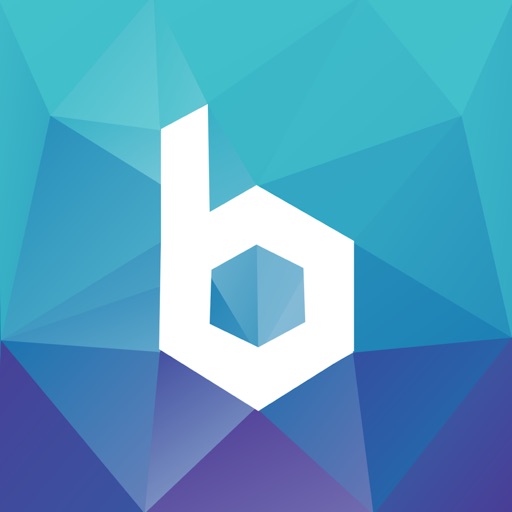 BaseStone | Construction App iOS App