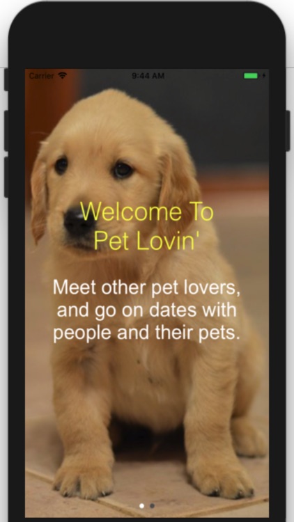 Pet Lovin': Dating App