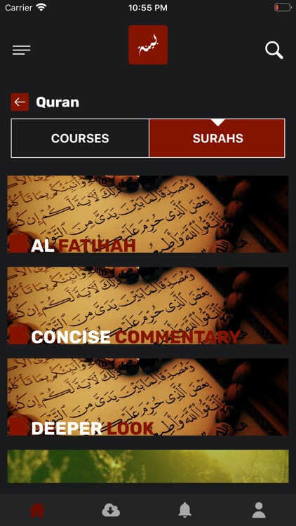 Bayyinah BTV screenshot-3