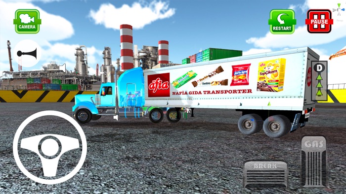 Truck Driving Sim