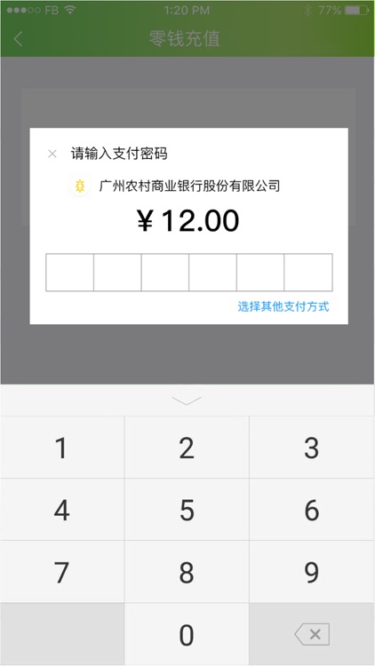 林安支付 screenshot-4