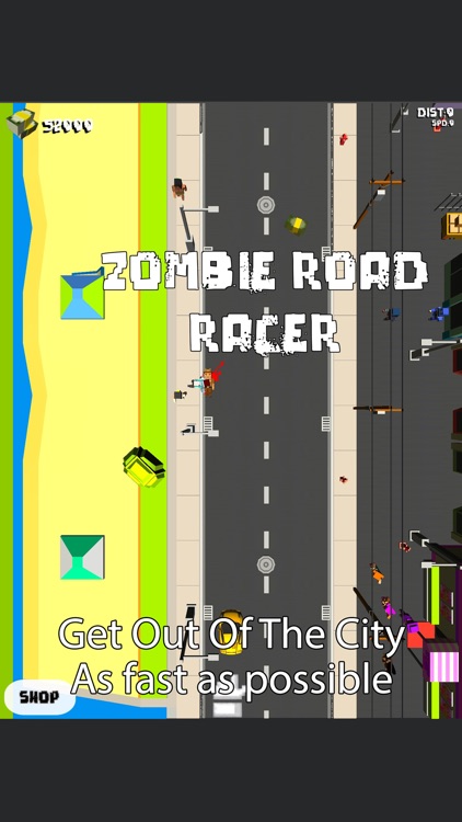 Zombie Road Racer