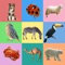 Are you in search of a learning game with an animal name and picture for kids