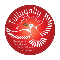 Tullygally PS