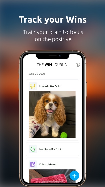 The Win Journal