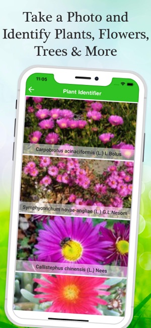 Flower & Plant Identification(圖4)-速報App