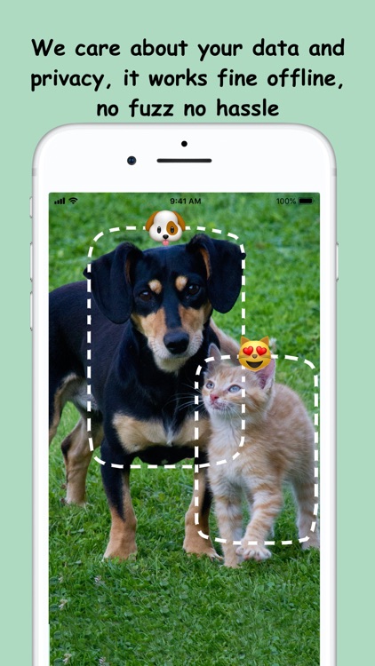 Cat & Dog Radar