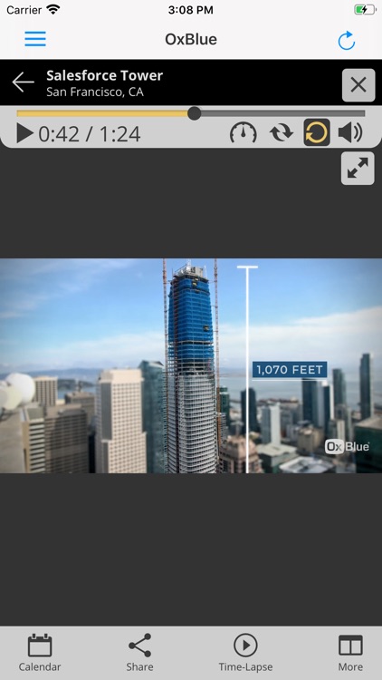 OxBlue Camera Viewer screenshot-6