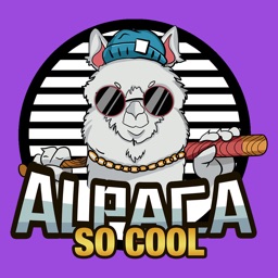 Curls Cool Vicugna pacos