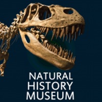 Natural History Museum 4 You pour PC