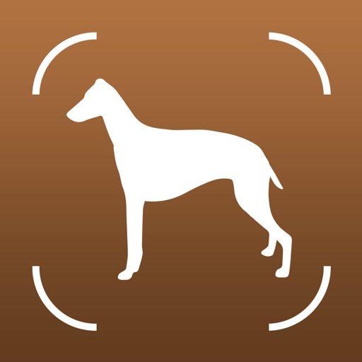 Dog Book: Breed Identifier