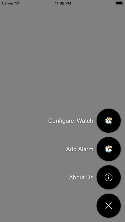 Intelligent Voice Alarm screenshot-3