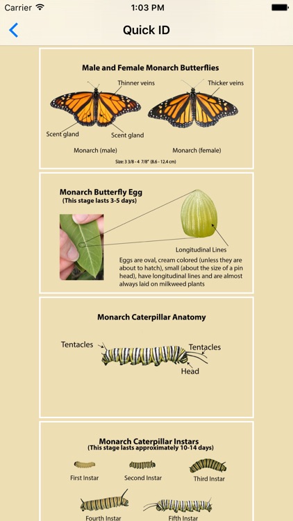 Monarch SOS