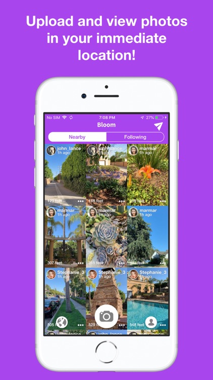 Bloom - Nearby Photos