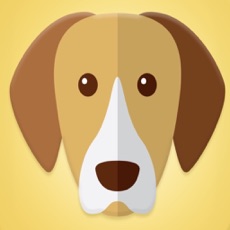 Activities of What Type Of Dog Are You?