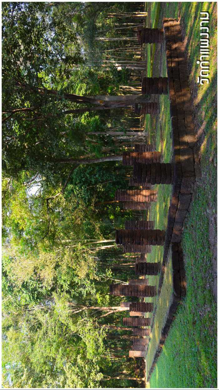 วัดกำแพงงาม Offline