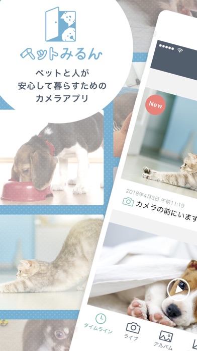 ペットみるん - ペット見守りカメラ アプリのおすすめ画像1