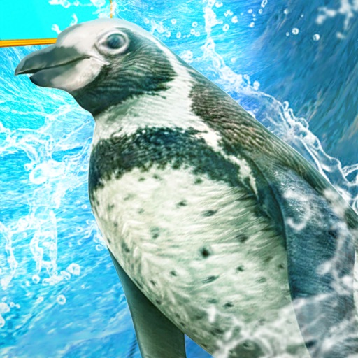 Penguin Slide Racer iOS App